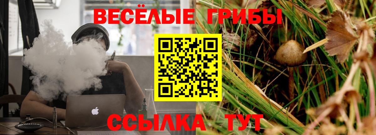 Псилоцибиновые грибы Psilocybine cubensis Кушва